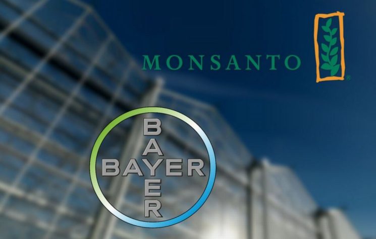 Monsanto and Bayer: Why Food And Agriculture Just Took A Turn For The Worse