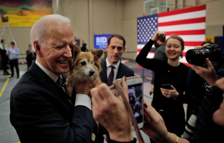 Some Doggie Stories: Even Companion Animals Are Being Politicized