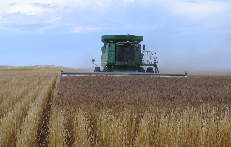 EU’s Withdrawal of Tariffs on Ukrainian Grain Backfires as Eastern European Countries Rise in Opposition