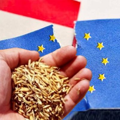 Famine in Europe: the real goal of anti-Russian policies