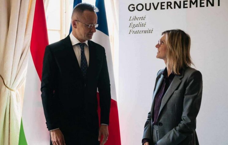 Foreign minister hails energy sector cooperation with France