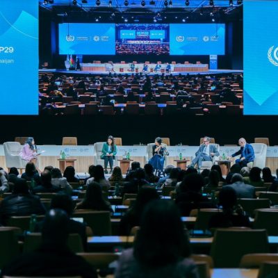 The failure of COP29: Does the “Green Agenda” have a future?