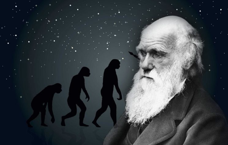 What kind of freedom can exist in a Darwinian worldview?