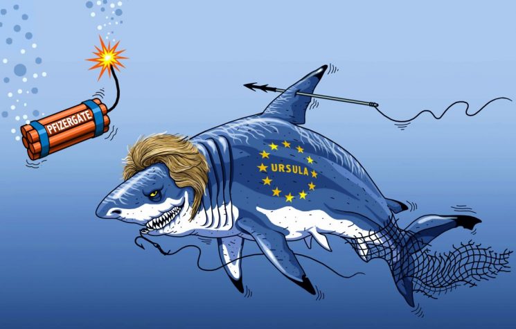 Western elites have already determined the fate of the EU