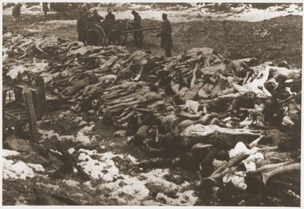 Cadáveres de prisioneiros de guerra soviéticos. Local e data desconhecidos. https://encyclopedia.ushmm.org/content/ru/gallery/mosaic-of-victims-an-overview-photographs