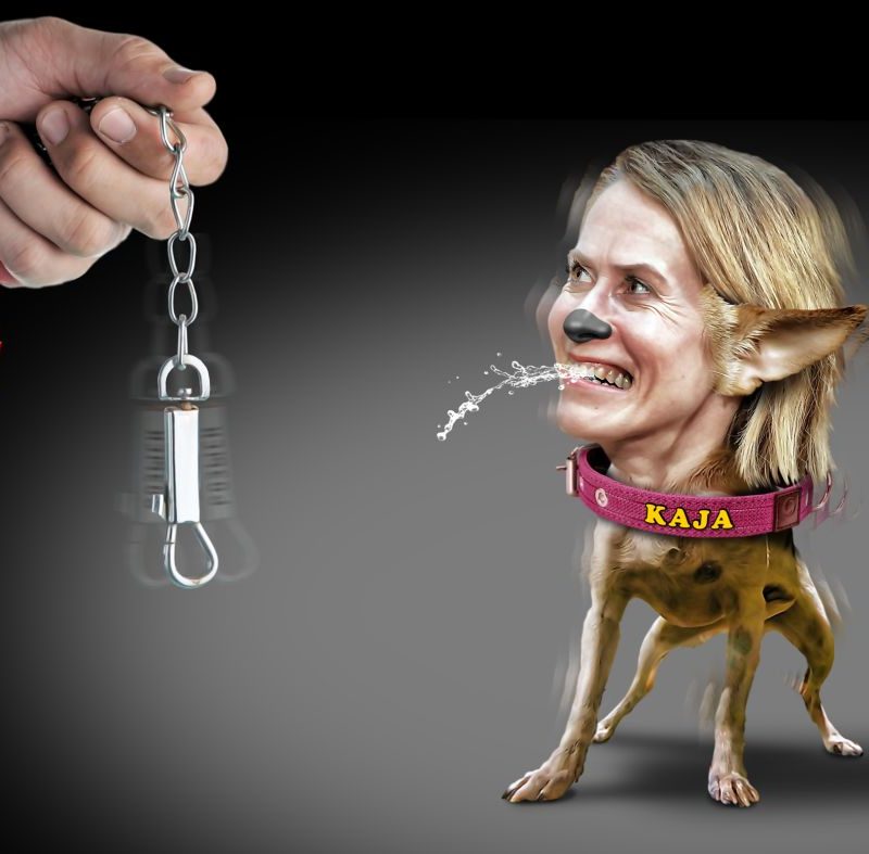 A new false tribunal is in the making