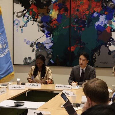 Quando um «especialista» admitiu a natureza política (e não técnica) do Painel da ONU sobre a Coreia