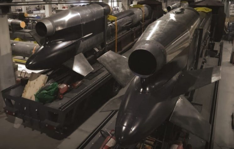 Ukrainian weapons factory in Denmark – citizens barred from appeals