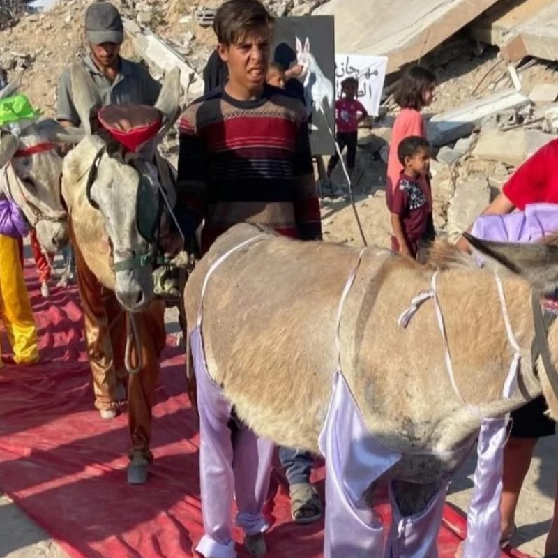 When ‘our civilisation’ brays