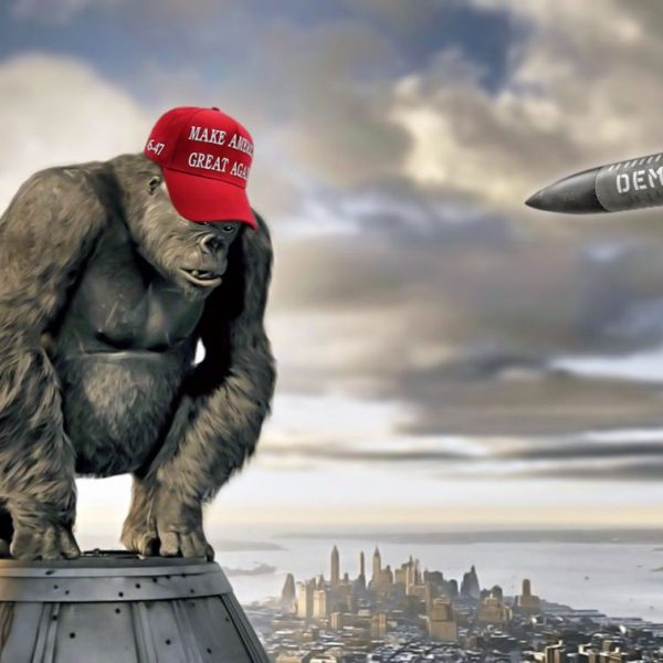 Trump’s MAGA crisis: Is MTG making moves or calling it quits?