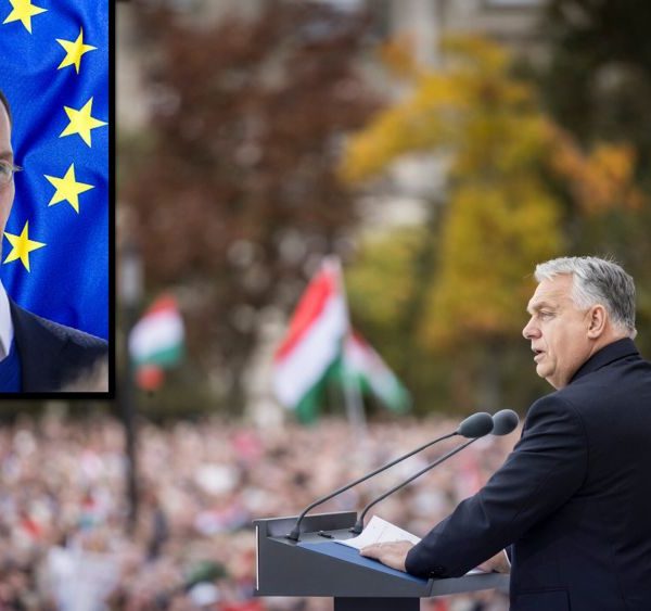 EU official plotted to ‘organise resistance’ against Hungary’s Orban, files show