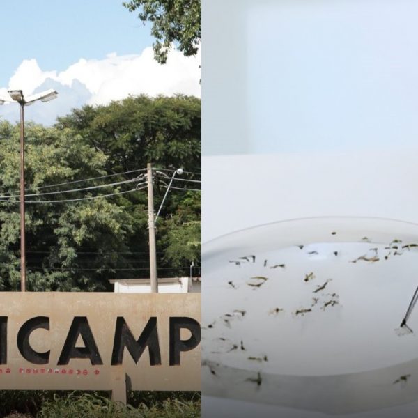 Possível agente dos EUA rouba vírus perigoso de laboratório brasileiro