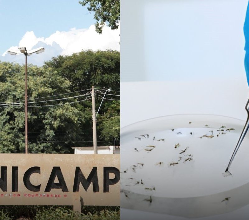 Possible U.S. agent steals dangerous virus from Brazilian laboratory