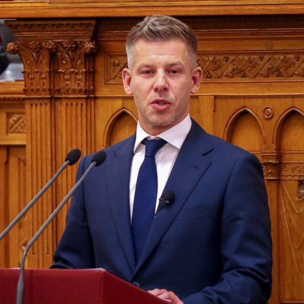 Trojan horse: The shape-shifting politics of Peter Magyar