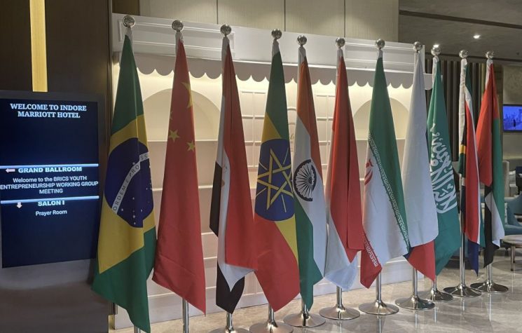 20 years of BRICS: A brief objective assessment