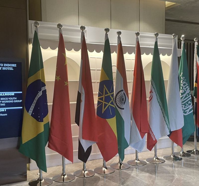 20 years of BRICS: A brief objective assessment