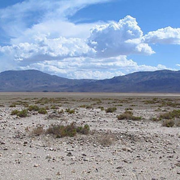 Polls: Nevada voters prioritize public lands over mining, energy