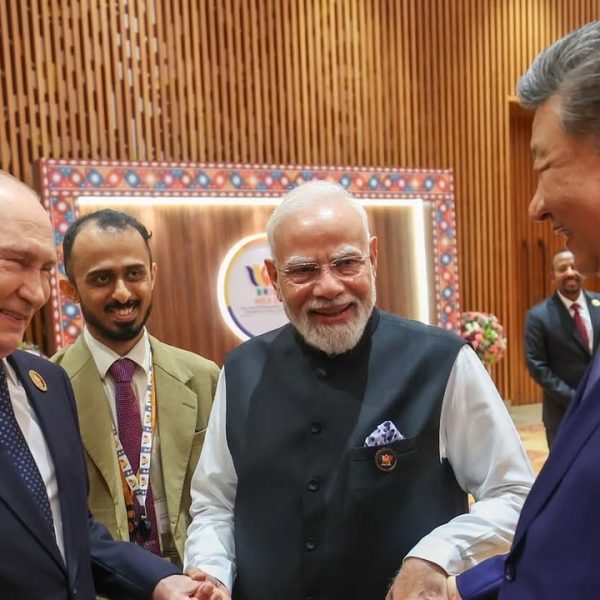 In the Age of the BRICS: from New Delhi to the Future