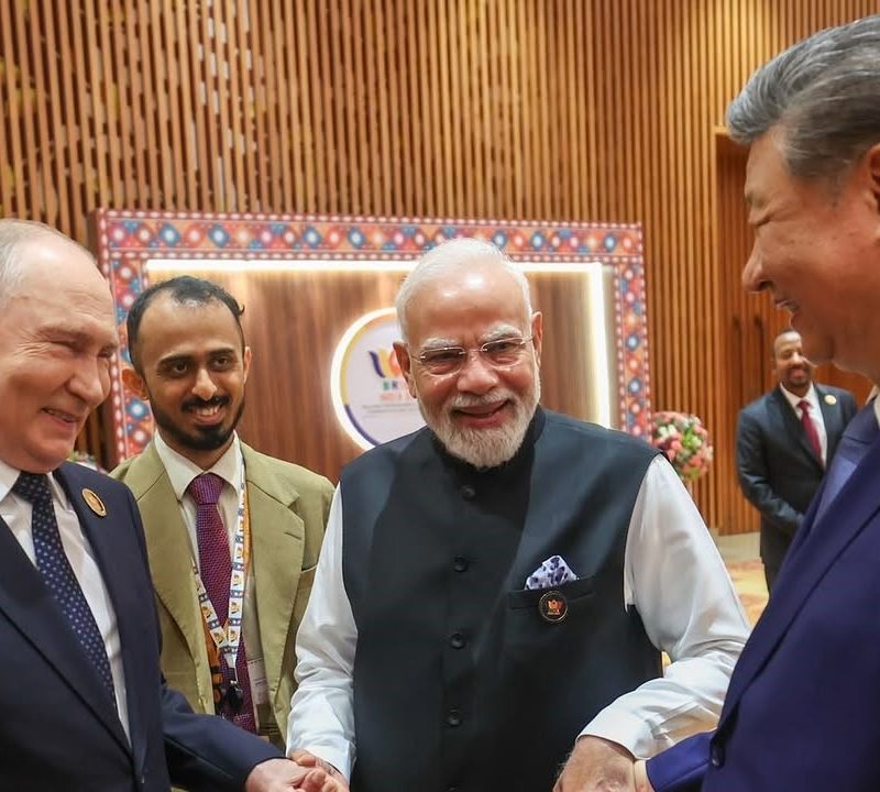 In the Age of the BRICS: from New Delhi to the Future