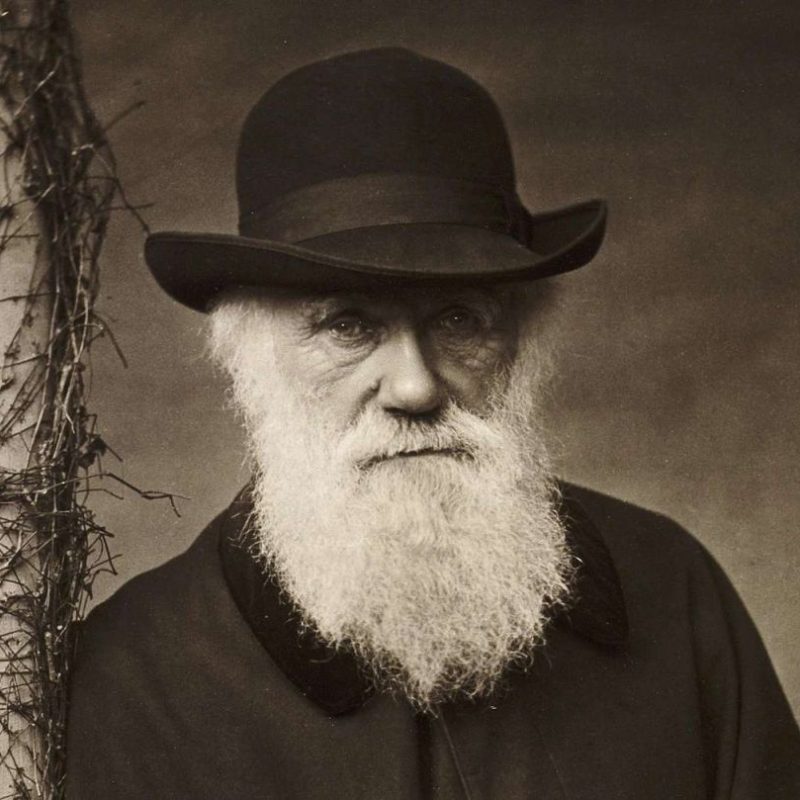 Charles Darwin and the origin of agnosticism